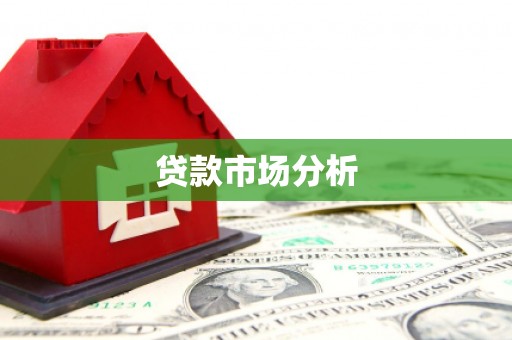 响水贷款市场分析