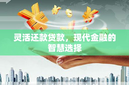 响水灵活还款贷款，现代金融的智慧选择