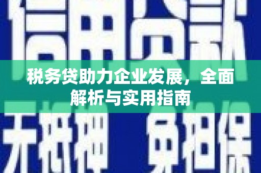 响水税务贷助力企业发展，全面解析与实用指南