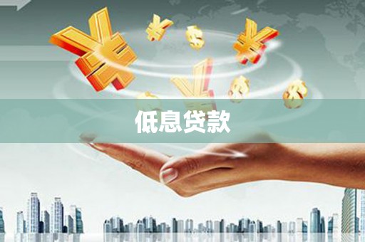 响水低息贷款