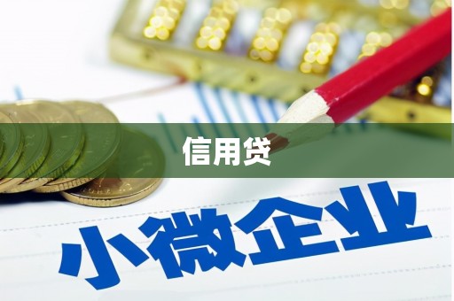 响水信用贷