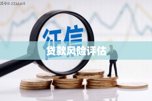 响水贷款风险评估
