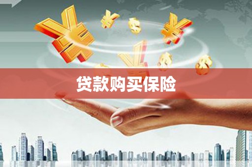 响水贷款购买保险
