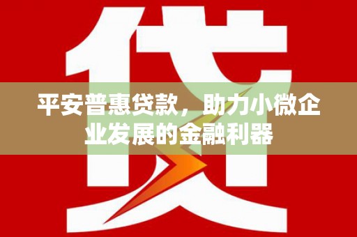 响水平安普惠贷款，助力小微企业发展的金融利器