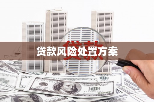 响水贷款风险处置方案