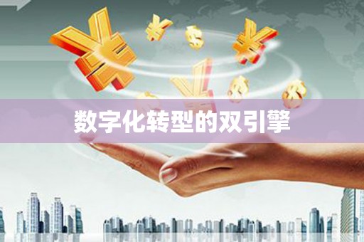 响水数字化转型的双引擎