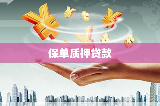 响水保单质押贷款