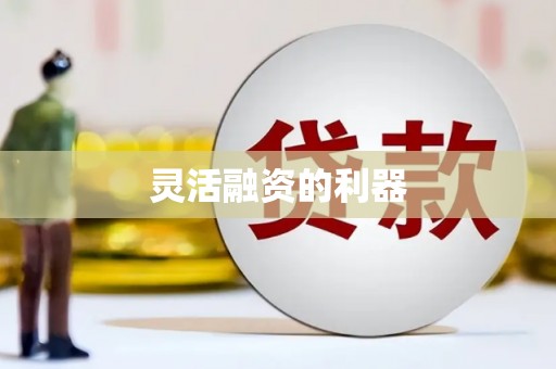 响水灵活融资的利器