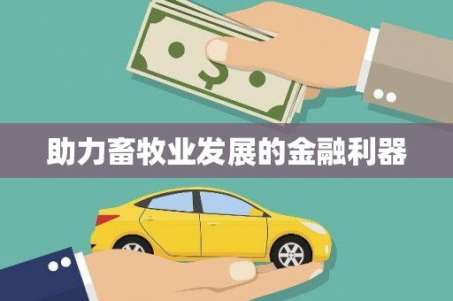 响水助力畜牧业发展的金融利器