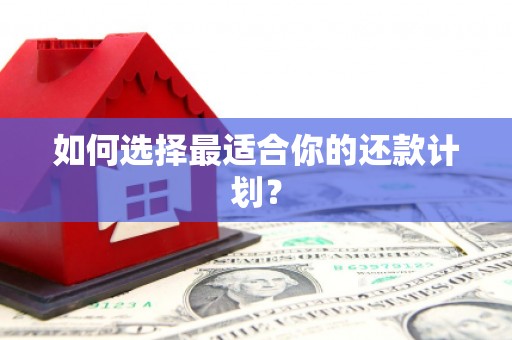 响水如何选择最适合你的还款计划？