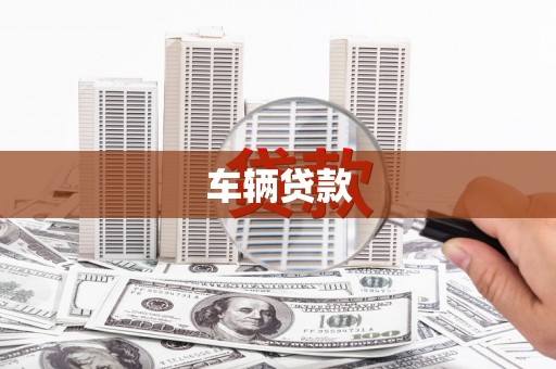 响水车辆贷款