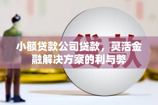 响水小额贷款公司贷款，灵活金融解决方案的利与弊