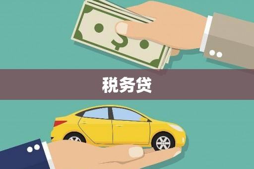 响水税务贷